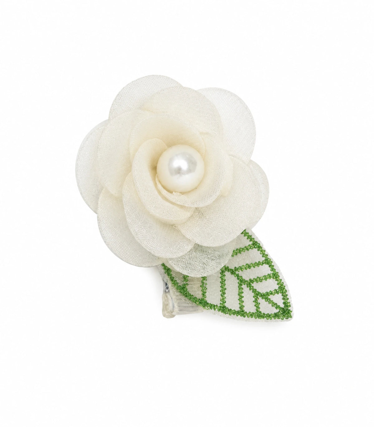 #color_ivory